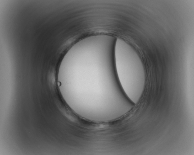 X0000114540398200910190935