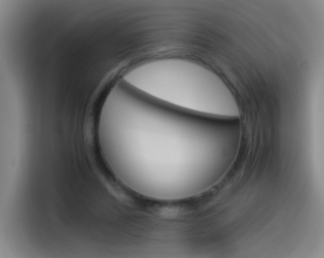 X0000114540400200910190935