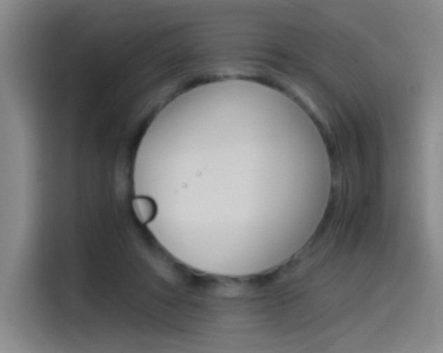 X0000114540402200910190935