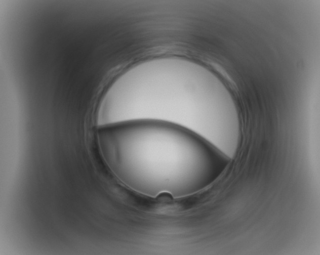 X0000114540403200910190935