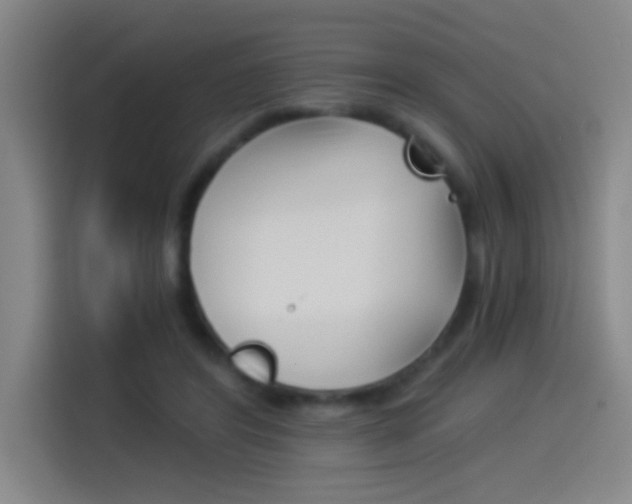 X0000114540404200910190935