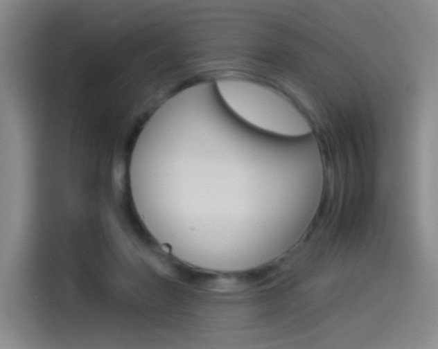 X0000114540406200910190935