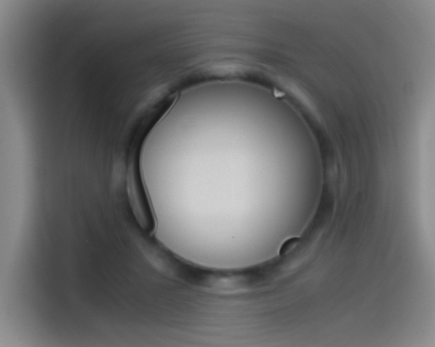 X0000114540407200910190935