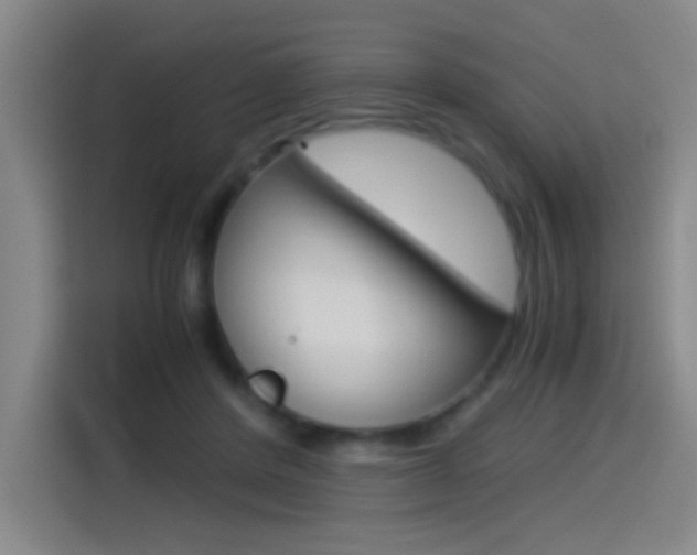 X0000114540408200910190935