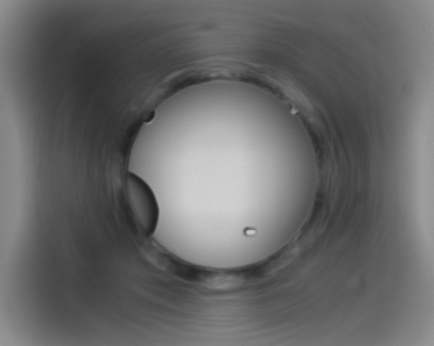 X0000114540413200910190935