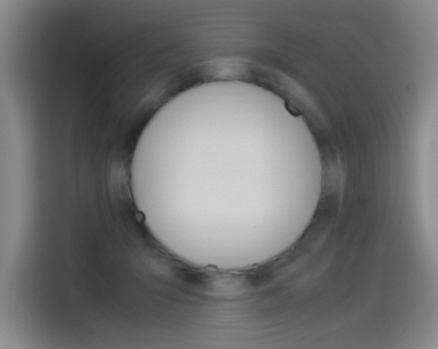 X0000114540415200910190935