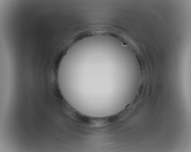 X0000114540417200910190935