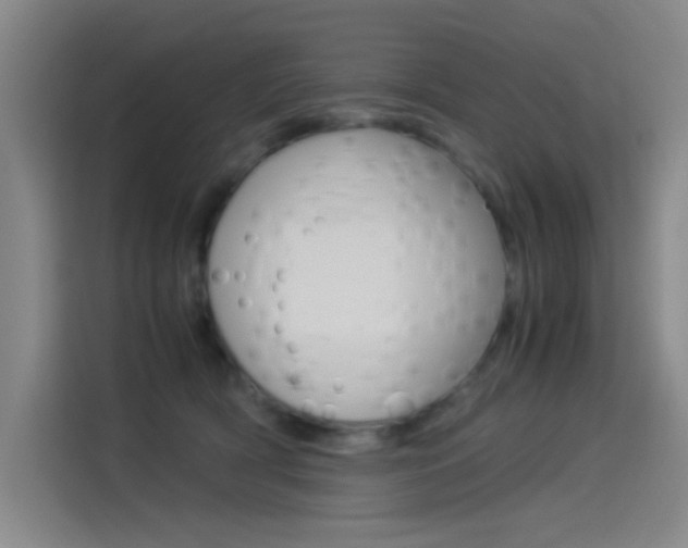 X0000114540418200910190935