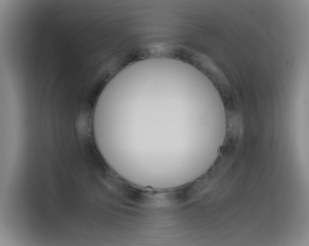 X0000114540419200910190935