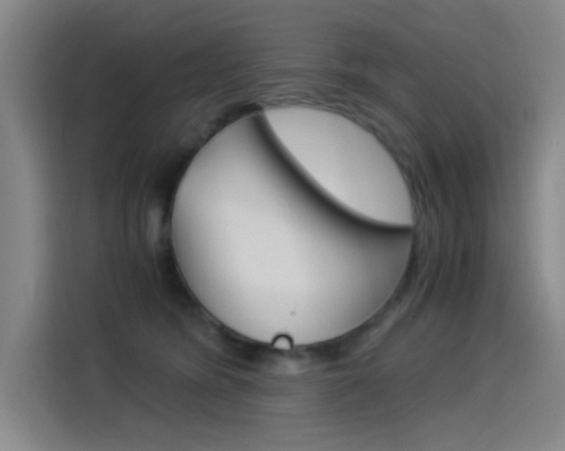 X0000114540420200910190935