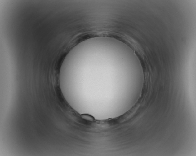 X0000114540421200910190935