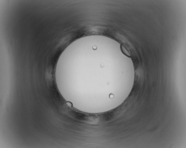 X0000114540423200910190935