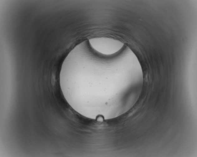 X0000114540424200910190935