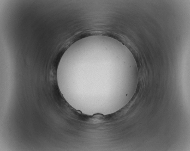 X0000114540425200910190935