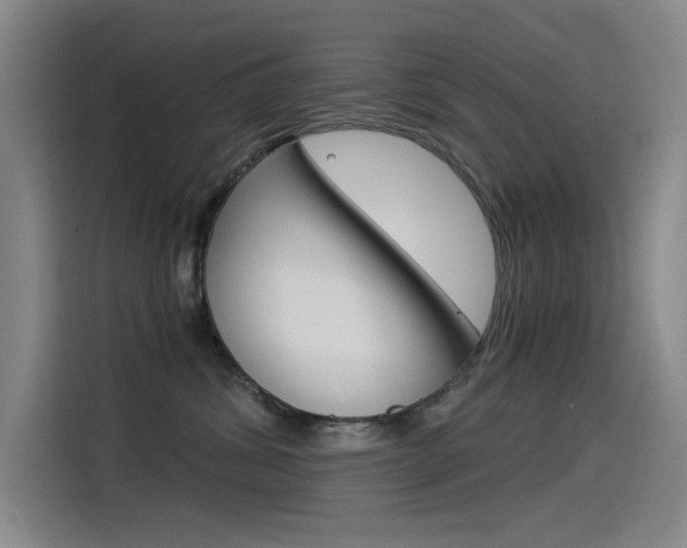 X0000114540428200910190935