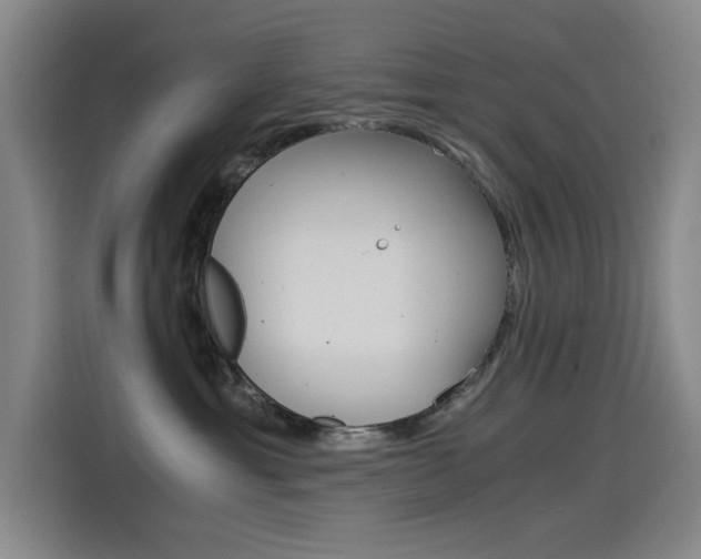 X0000114540429200910190935