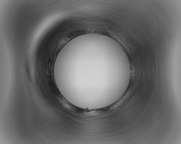 X0000114540430200910190935