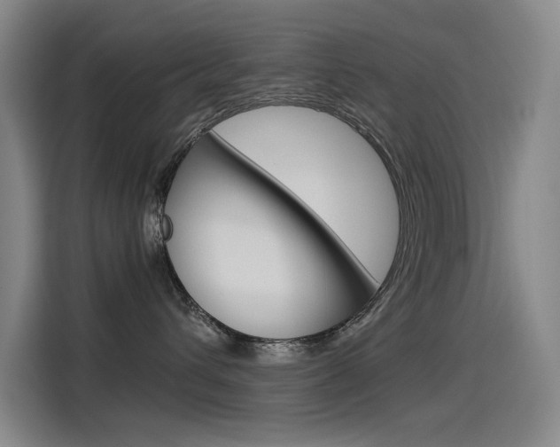 X0000114540432200910190935