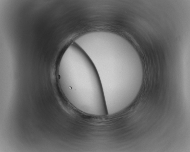 X0000114540443200910190934