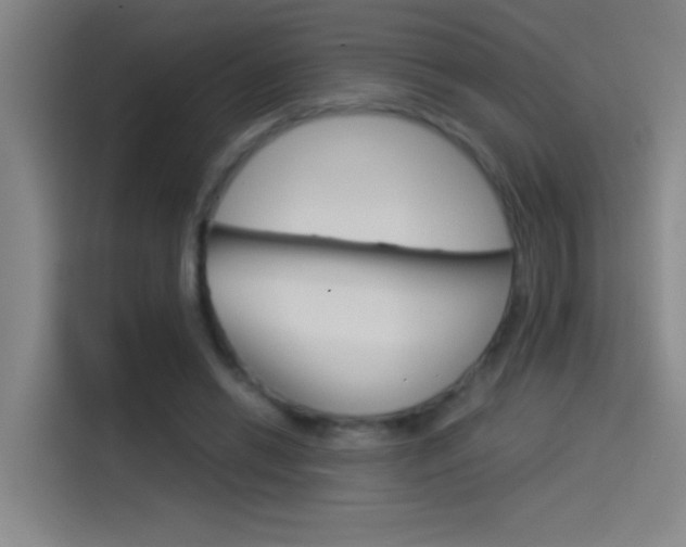 X0000114540446200910190934