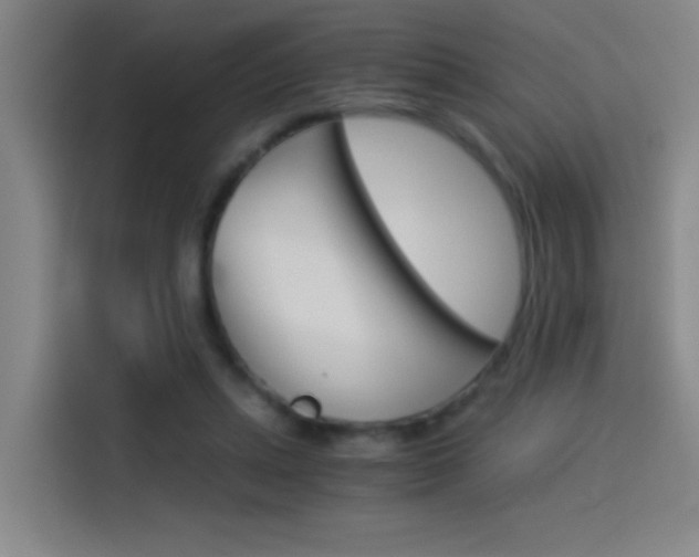 X0000114540447200910190934