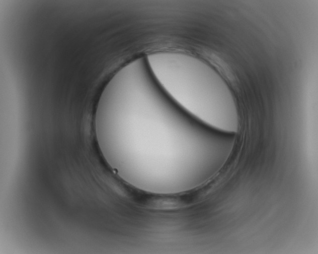 X0000114540449200910190934