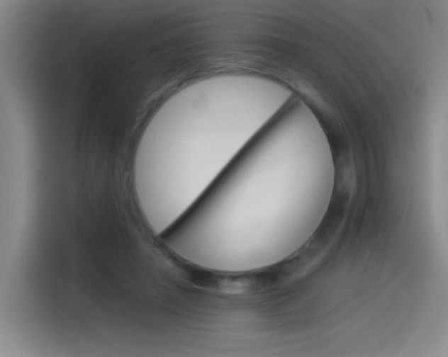 X0000114540450200910190934