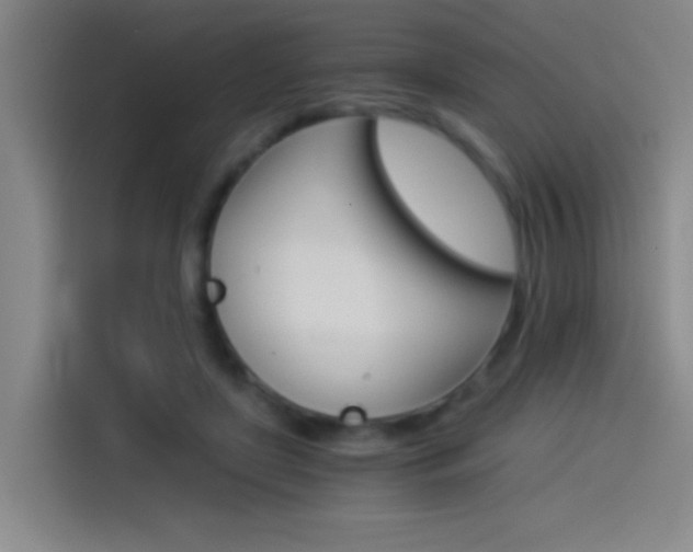 X0000114540451200910190934