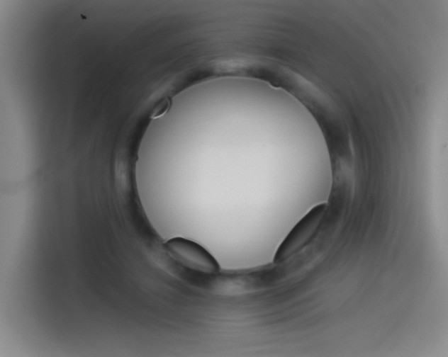 X0000114540452200910190934