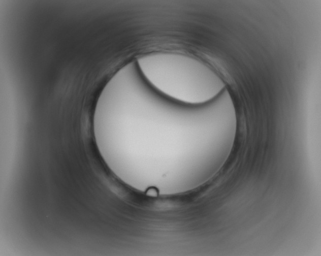 X0000114540453200910190934