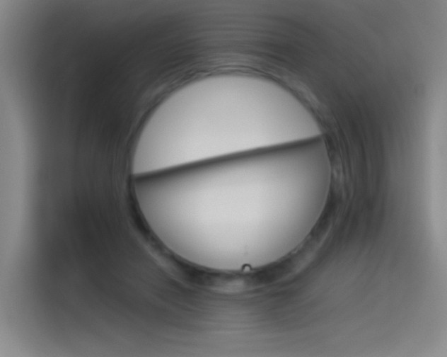 X0000114540454200910190934