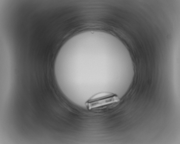 X0000114540456200910190935