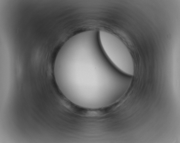 X0000114540457200910190935