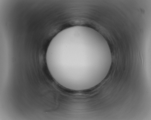 X0000114540460200910190935