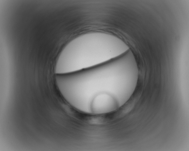 X0000114540462200910190935