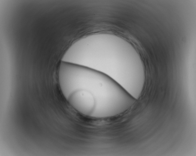 X0000114540465200910190935