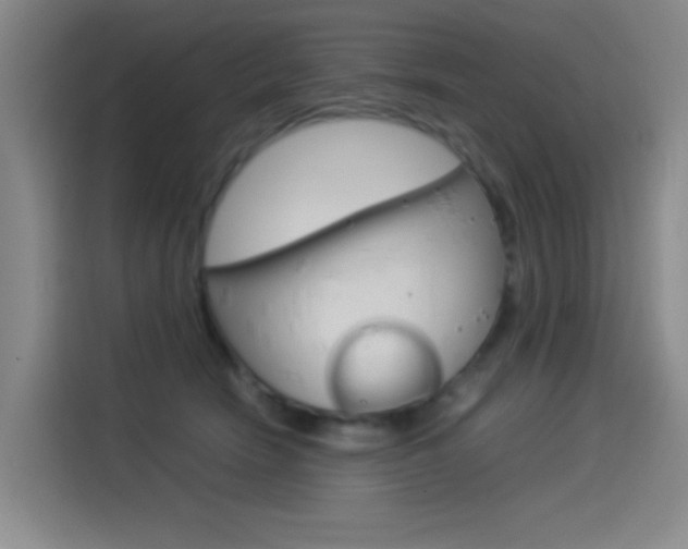 X0000114540466200910190935