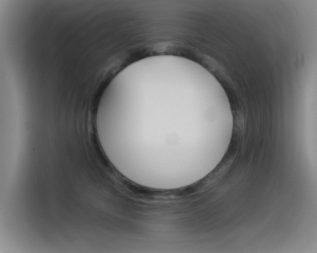 X0000114540470200910190935