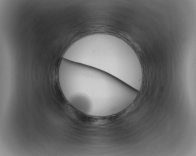 X0000114540471200910190935