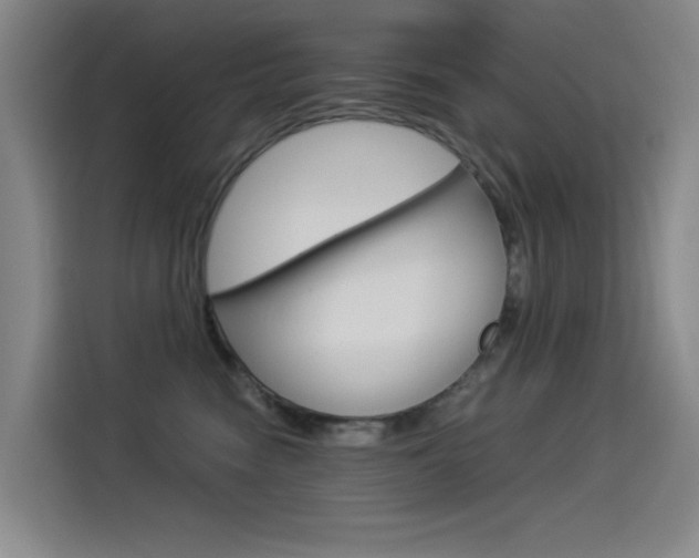 X0000114540474200910190935