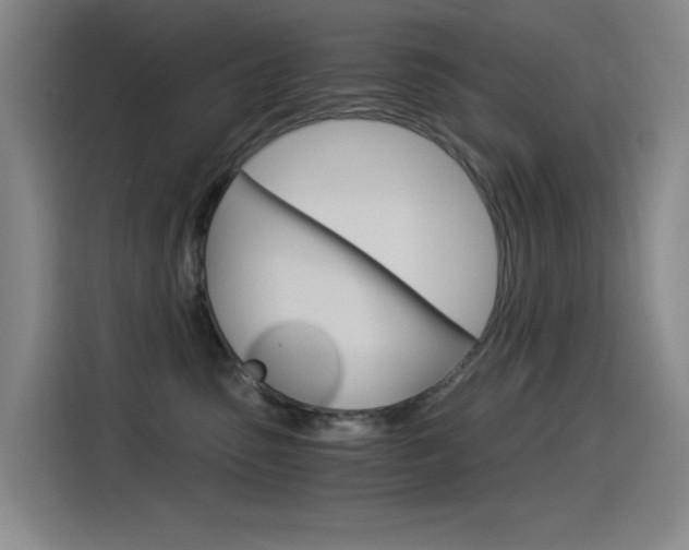 X0000114540475200910190935