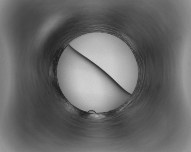 X0000114540477200910190935