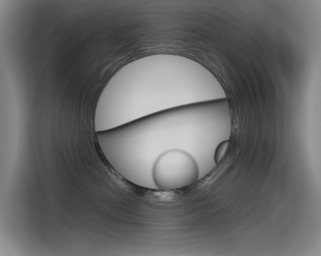 X0000114540478200910190935