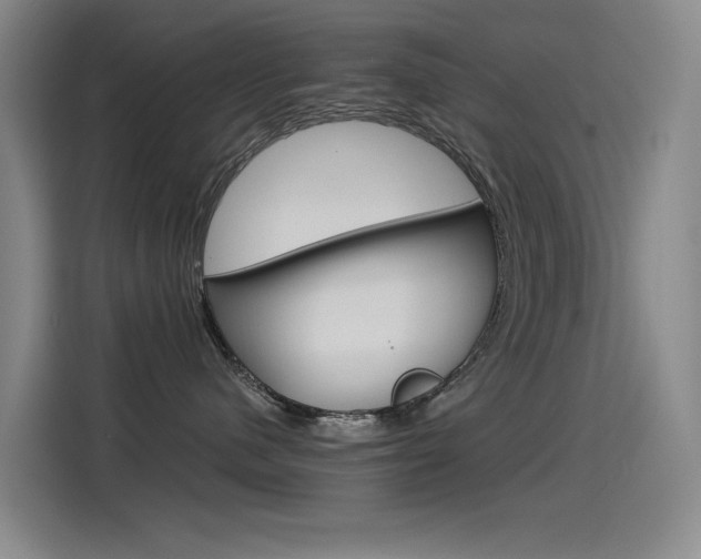 X0000114540480200910190935