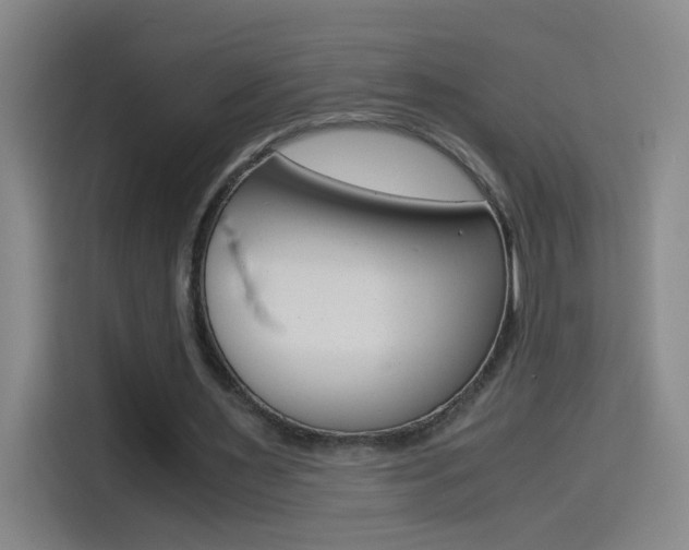 X0000114540483200910190934