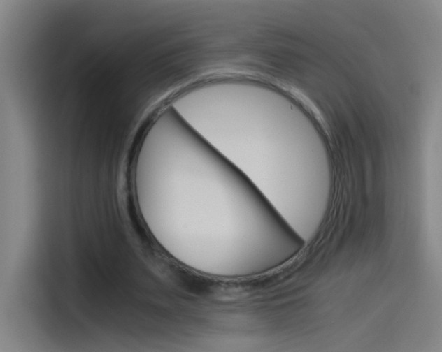 X0000114540487200910190934
