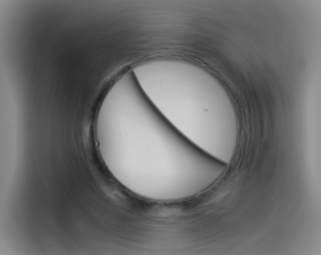 X0000114540491200910190934