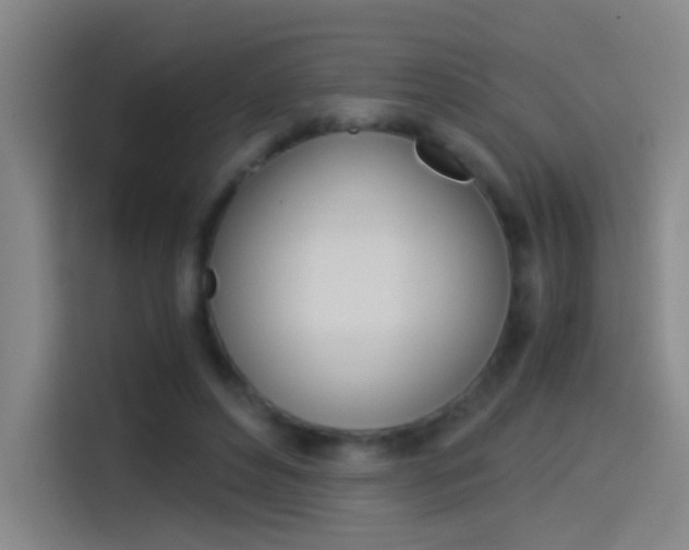 X0000114540496200910190934