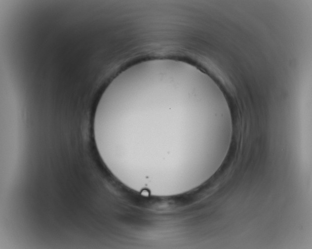 X0000114540497200910190934