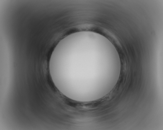 X0000114540498200910190934